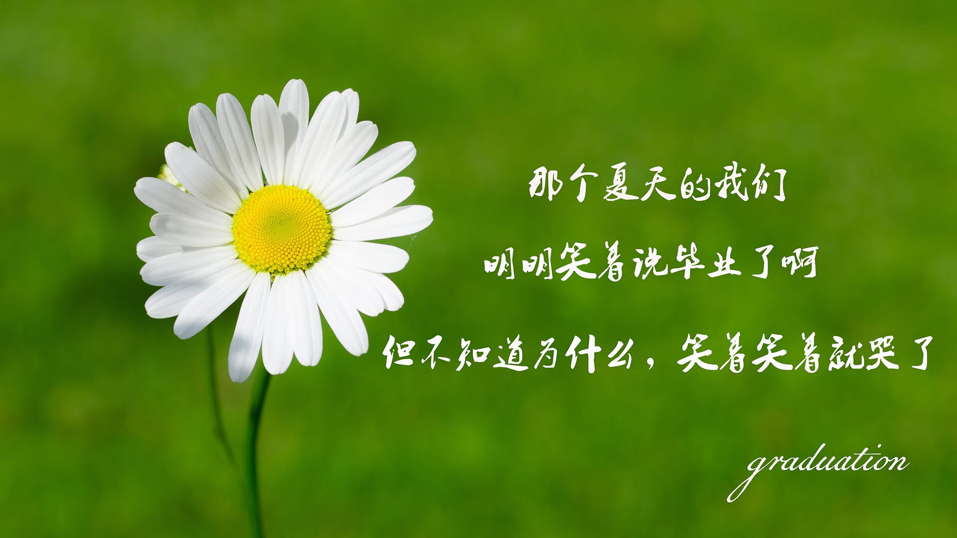 奥运新星：西班牙中卫引欧洲豪门关注，西班牙中场球星