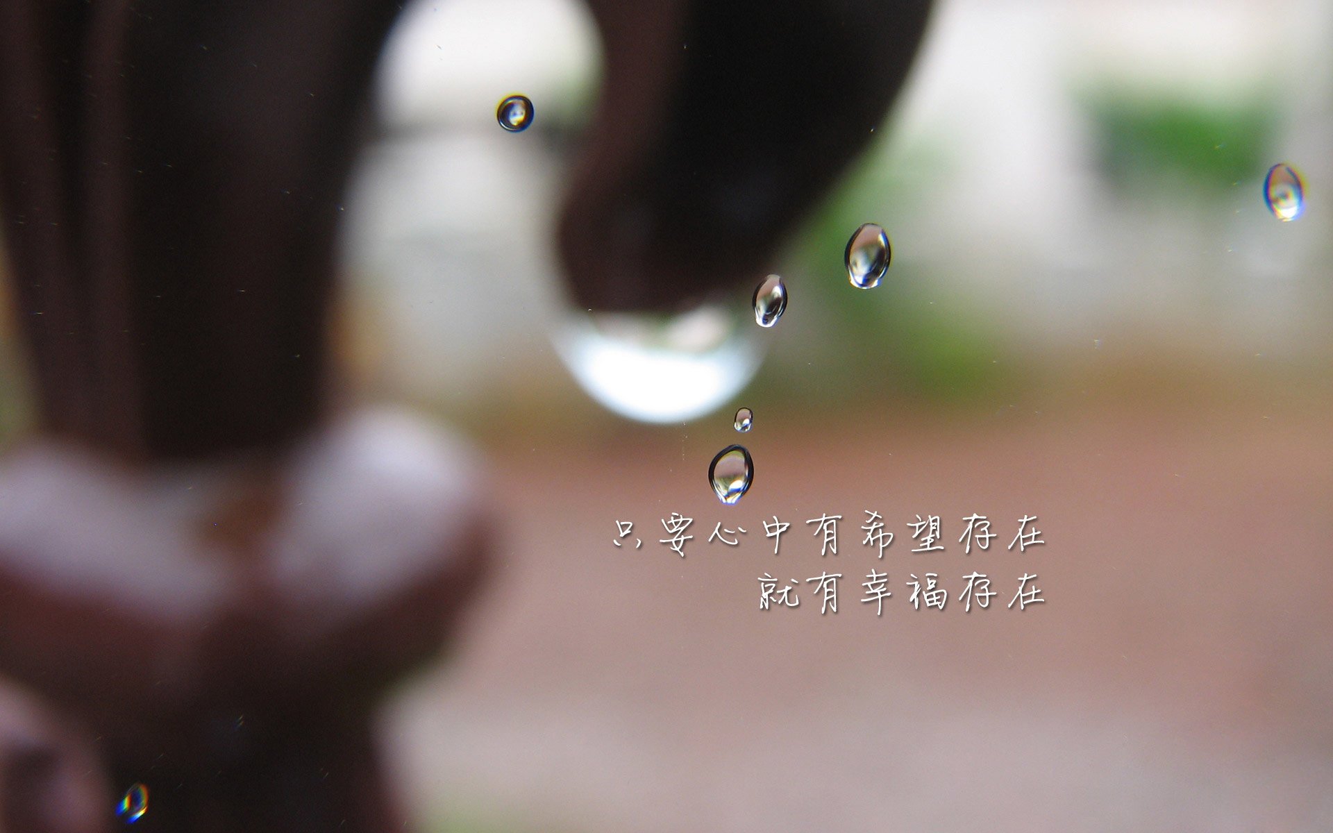 弗拉门戈主场迎战帕尔梅拉斯，弗拉门戈比赛视频