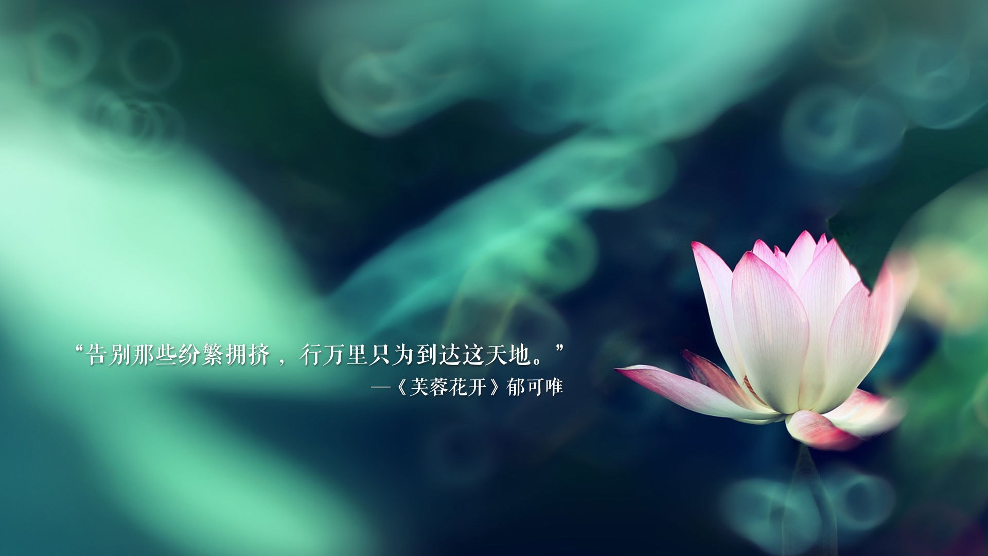 荷兰女足在预选赛中与德国队激战，荷兰女足vs德国女足
