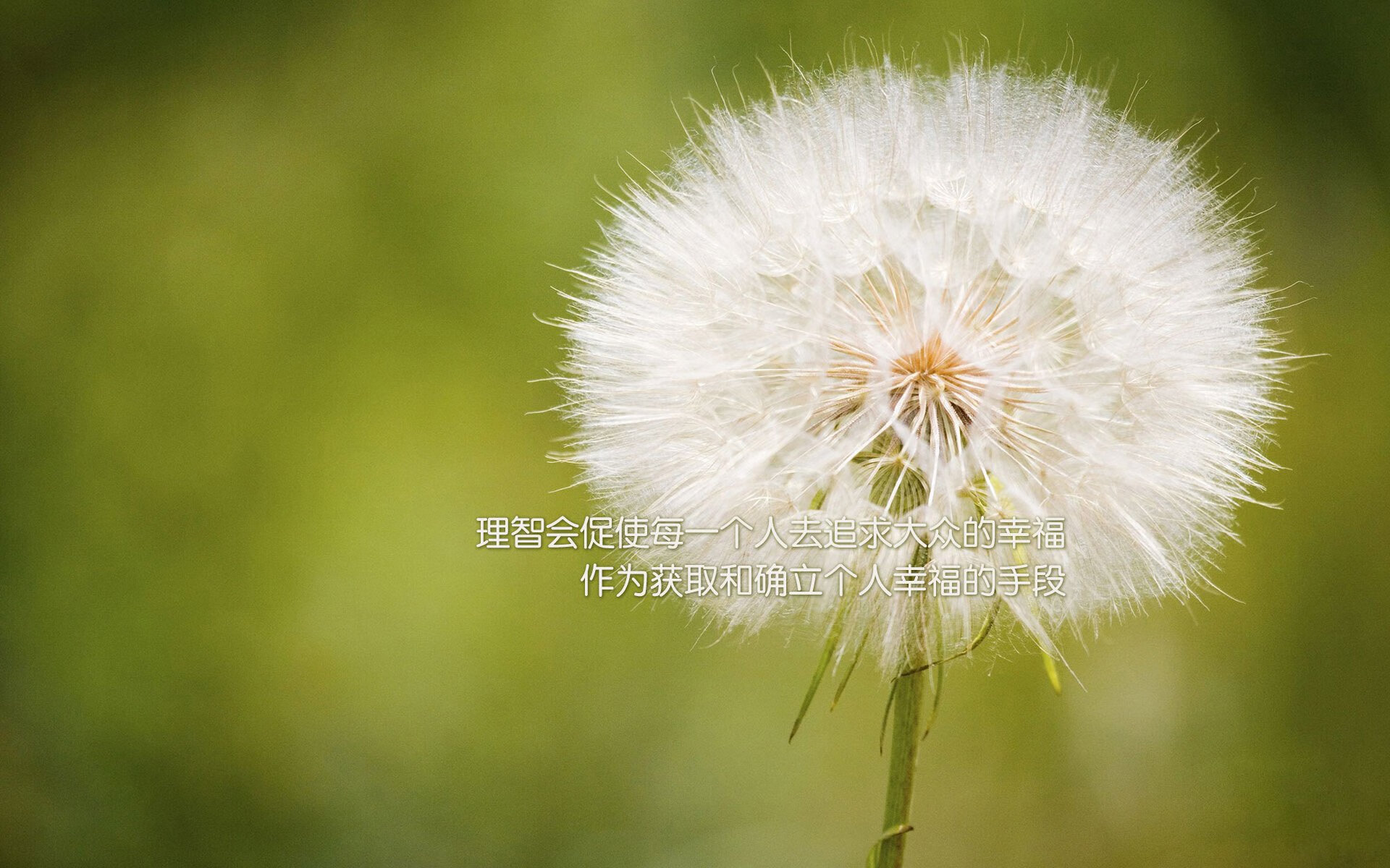莱斯特城锋线老将瓦尔迪：继续为球队贡献力量，莱瓦汀史尔特尔