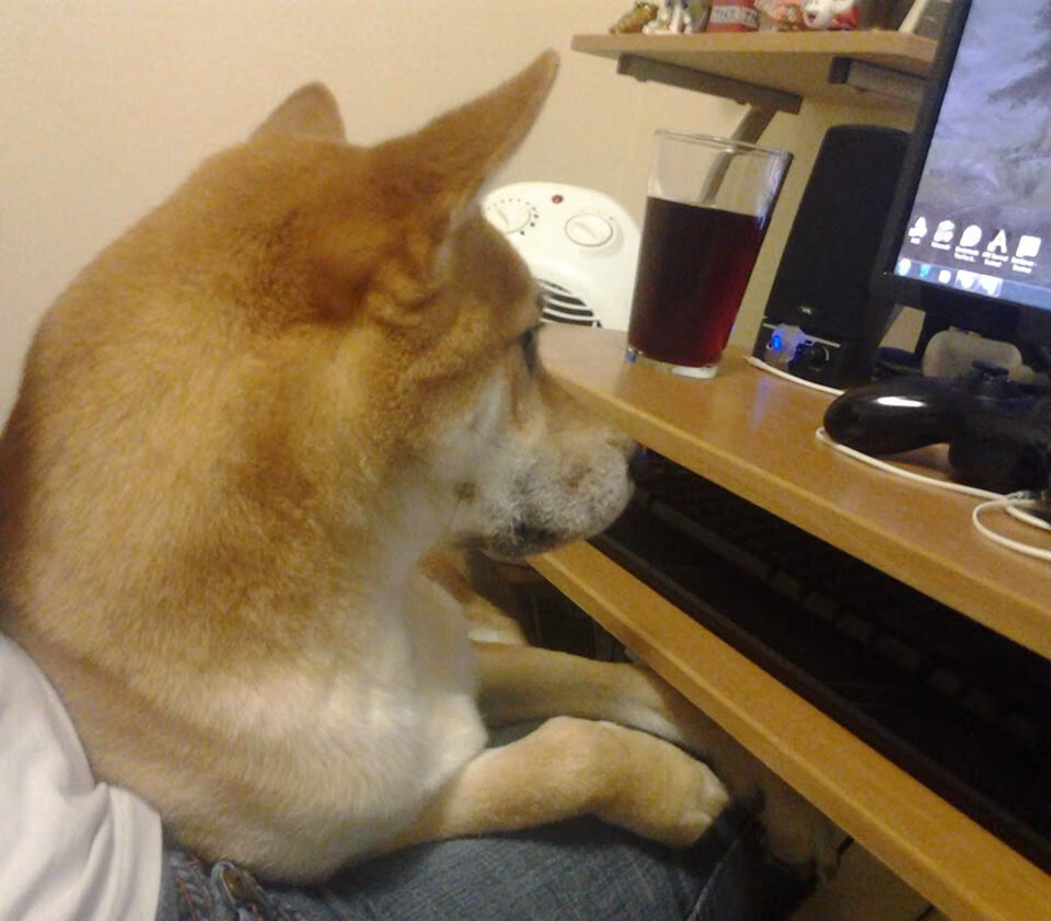 西甲历史战役：永远不会忘记的经典对决，西甲 历史