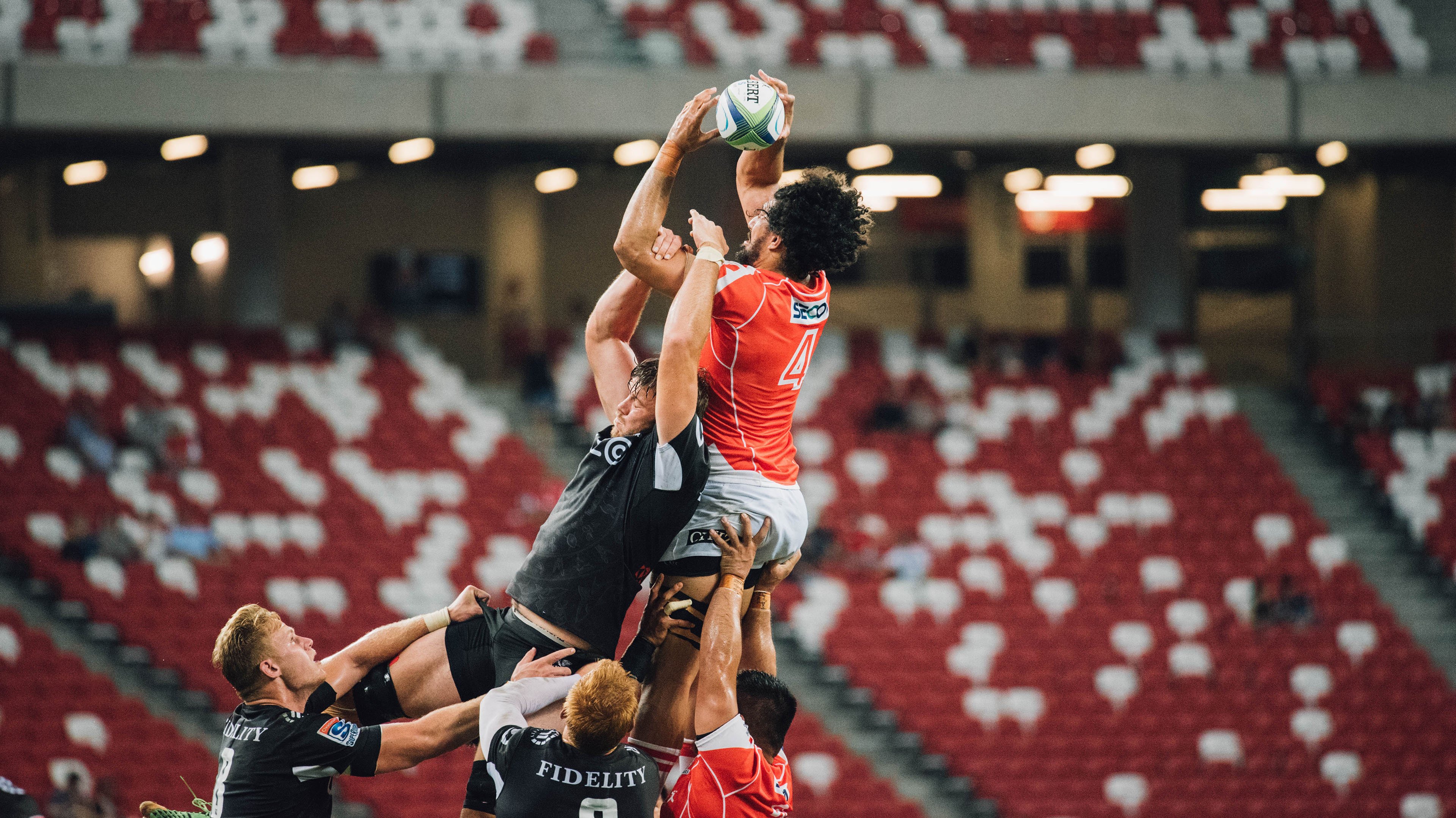 _猛龙展现坚韧，逆转战局成功_，猛龙岀击